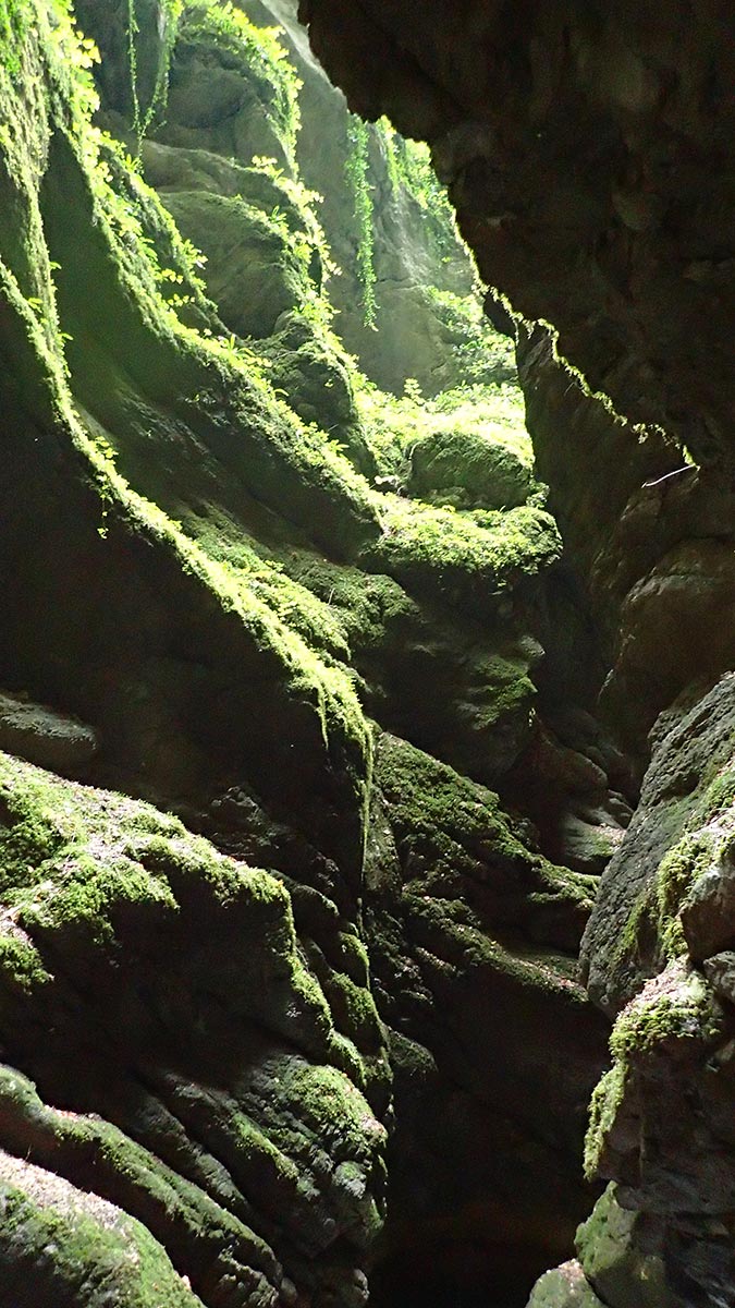 canyoning Grenoble et Lyon : canyon de l'Infernet